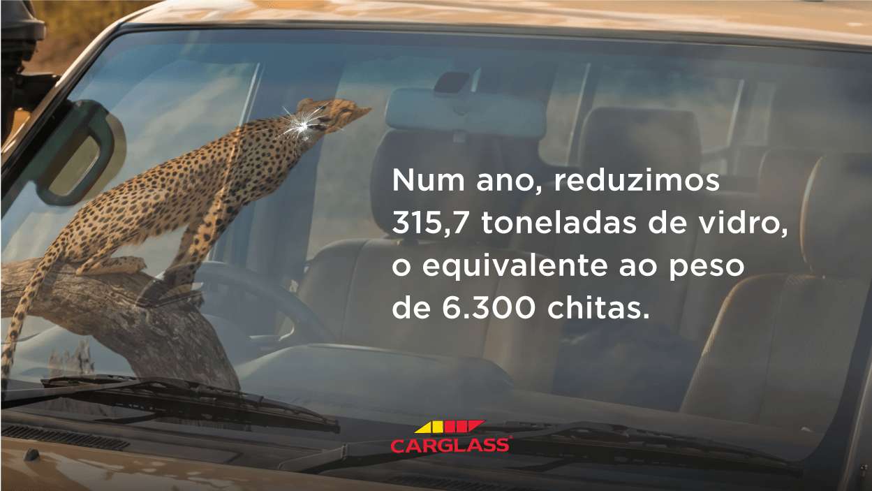 Reparar a natureza - imagem1 v3